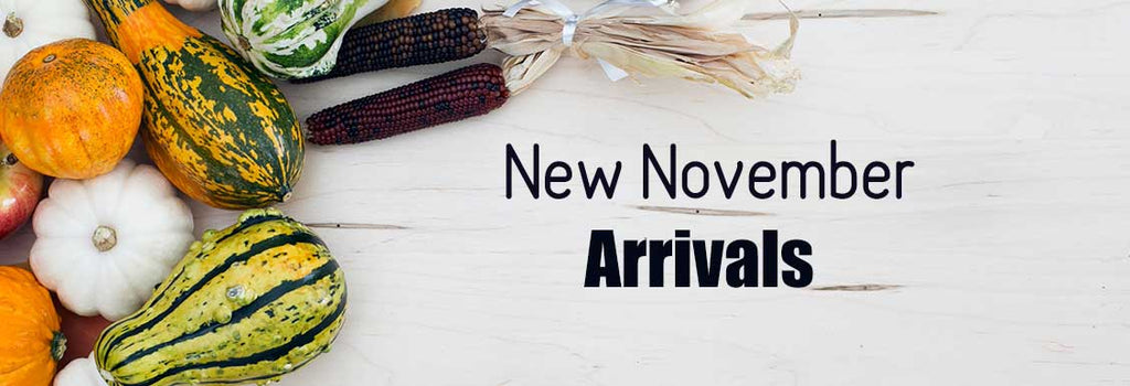 New Arrivals Means New Deals in November
