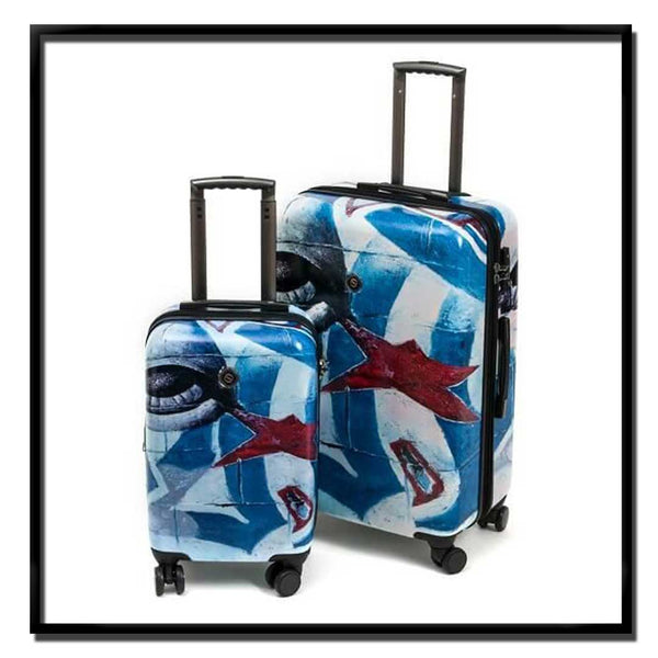 2 PIECE SETS Spinner Luggage - Choose Your Cover Design - Dealsie.com